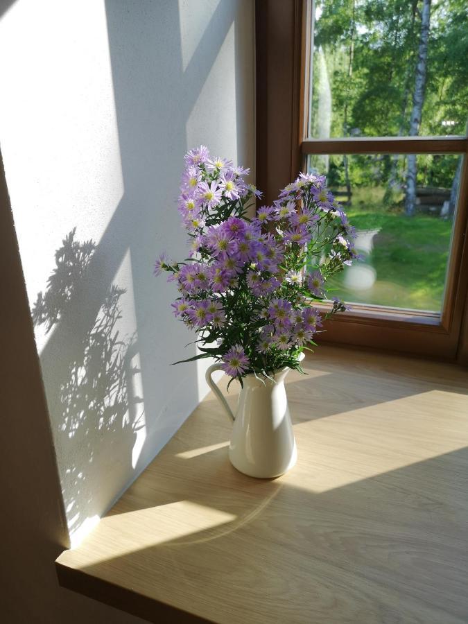 Na Jeleni Stezce Villa Chřibská Eksteriør billede