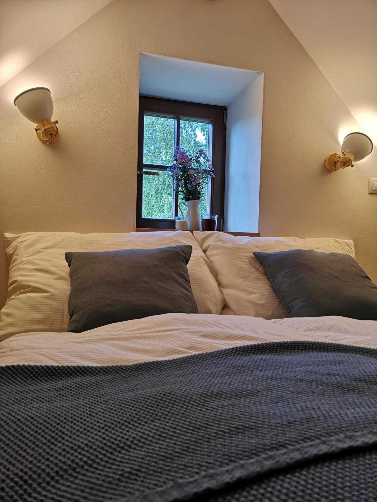 Na Jeleni Stezce Villa Chřibská Eksteriør billede